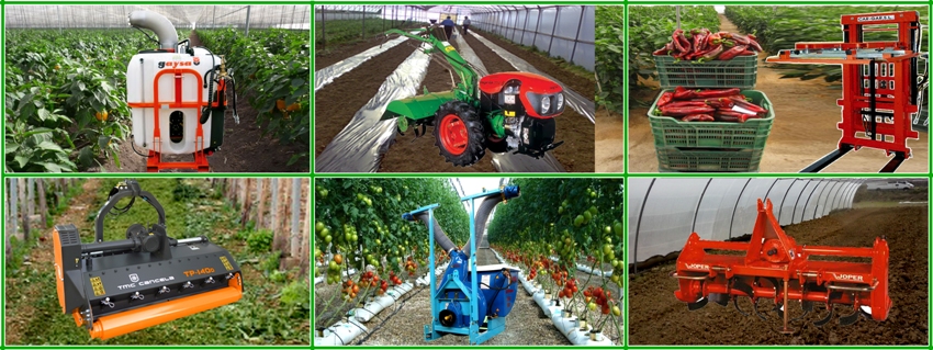 Especial invernadero